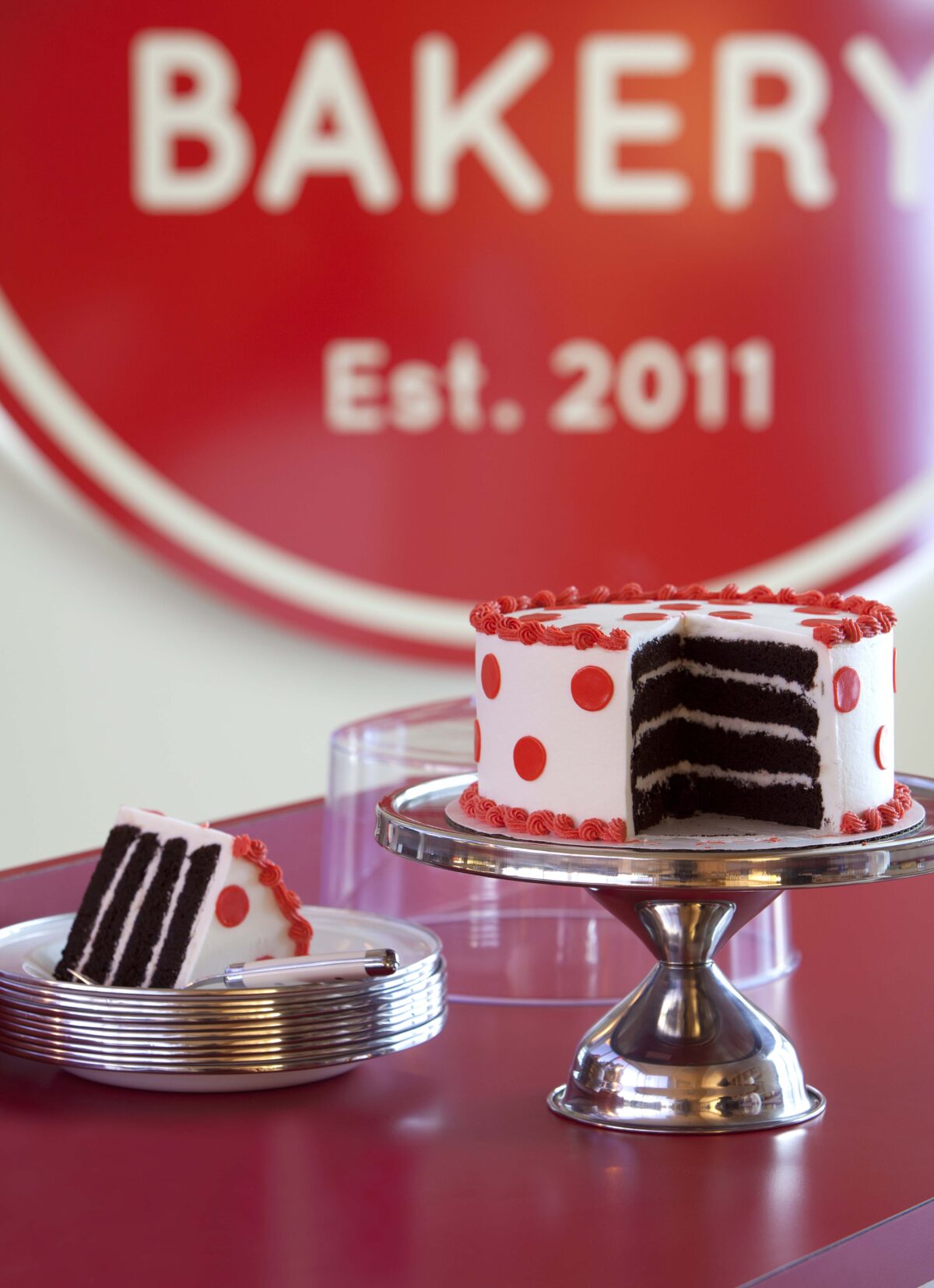 egg-dairy-free-chocolate-cake-dempsey-bakery